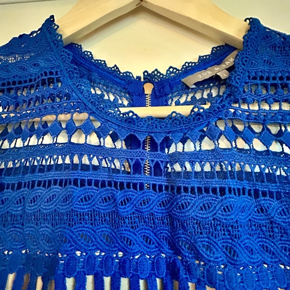 Zoe & Sam Royal Blue Battenberg Style Cut Out Lace Midi Statement Dress Size L - Picture 6 of 12